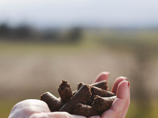 Bio Leinsamenschrot, Leinsamenpresskuchen, für Hunde, für Pferde, Bio Leinöl aus Österreich, frischgepresst, kaltgepresst, Bio Leinsamen, Bio Leinsamenöl, Biohof Staller im Feld